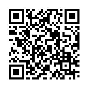 是谁说只有一条毛毛小路不用看的二维码生成