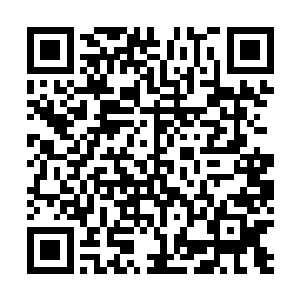 是魔法圣殿在她的直接指挥下对我们发起的一场攻势作战二维码生成