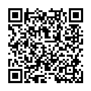 显然他们这次来的任务除了找所谓的百年野人参外二维码生成