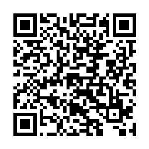 显然拍卖师的话将大家的注意力全都成功的调集了过来二维码生成
