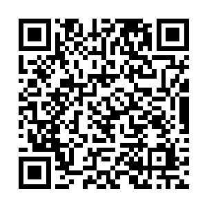 显然此时也彻底的被杨戬几个人的恐怖的实力镇住了二维码生成