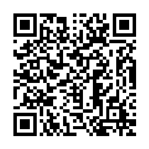 显然比一般化神炼虚期修士施展出的风属性法术神通厉害太多了二维码生成