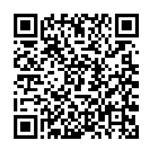 显然没想到娜丽丝会用这种方式来破解自己的这一拳二维码生成