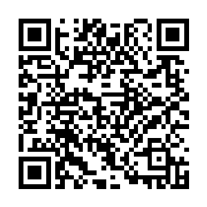 显然没料到苏林竟能抗下连洪蒙都束手无策的一击二维码生成