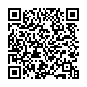 显然面对如此海量的天材得宝他们也不可能保持平常心了二维码生成