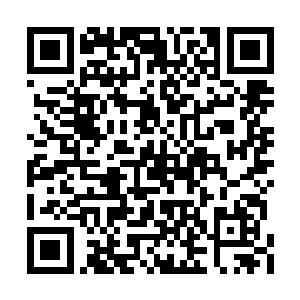晚上我们跟老师请假后就一起坐车往市区过去了二维码生成