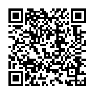 普通难民和流民拿着一根棍子这样的也能算是一个士兵二维码生成