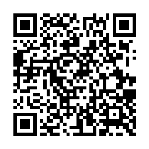 曜日军团和极光军团在消失了大批三年级学生后二维码生成