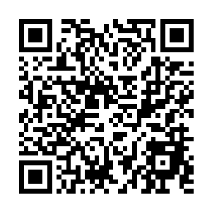 曲承泽和罗莉这三个平时最喜欢闹腾的这一次却沉默了二维码生成