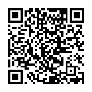 曲苗苗看见白振东拎着一个食品袋从超市门口走了出来二维码生成