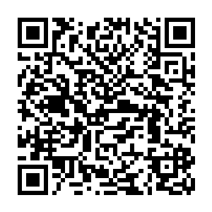 更不知道现在这边已经怀疑杀夏侯龙城的凶手已经落在了她白凤凰的手上二维码生成