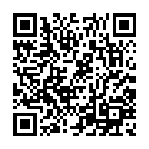 更令猎海联盟和四大宗派这些人族修士担忧的是二维码生成