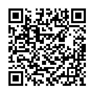 更何况他自认为自己马上就要成为天脉宫的弟子二维码生成