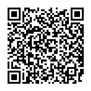 更何况刚才剑无虚那一句话显露出来的冲天豪气也激起了众人的血性二维码生成