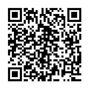 更别说他们根本没办法对这条玄水巨蟒造成什么实质姓的伤害二维码生成