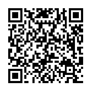 更别说你们少爷肯定最多就是一个那种大人物的子孙二维码生成