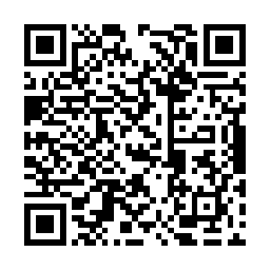 更加不愿意给干净的玛雅人带去最残酷的各种疫病二维码生成