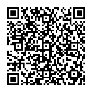 更加可能救了武剑的……那么他们夫妻俩便只能眼睁睁的看着自己的儿子就这样离世的二维码生成