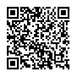 更可怕的事情还在后面……裂缝狼王的身躯之上二维码生成