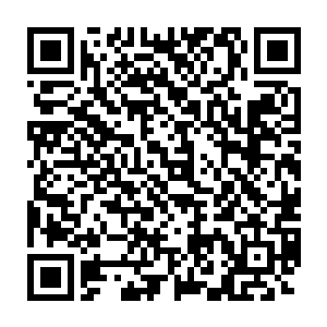 更是一些地方政府部门的失责……如果他们在天堂看到现实是如此残酷二维码生成