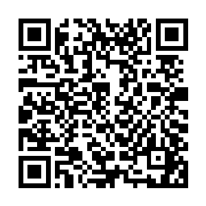 更是在短短两年时间就把神圣金兰花帝国的国库折腾得一干二净二维码生成