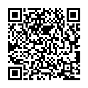 更是将风语给他的几种精神力基础技能都学会并且熟练掌握了二维码生成