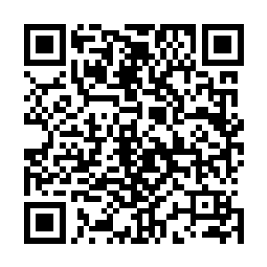 更是紧张了――这可是决定自己能不能当上狗腿子的考验那二维码生成