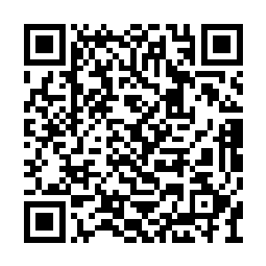 更有小苏小光通过通讯头环在识海之中实时辅助二维码生成