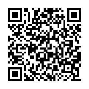 更让那充斥此间的无序混沌的破碎道痕扫荡一空二维码生成