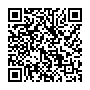 曹刚不认为李书记会在县长人选问题上听一个县委书记的意见二维码生成