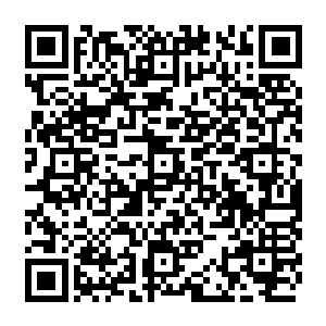曹刚希冀由虞庆丰来给当搭档的目的无外乎也就是看到了搞经济工作时虞庆丰的弱项二维码生成