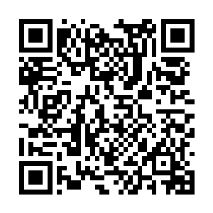 曹朗白里透红的面孔里和大学时代基本上没啥改变二维码生成