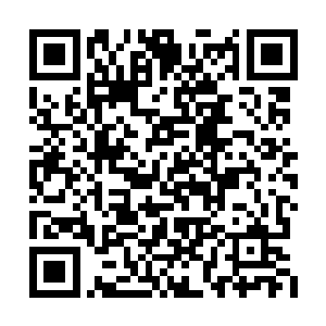 曹萍听到这里起身退后几步跪下狠狠嗑了几个头二维码生成