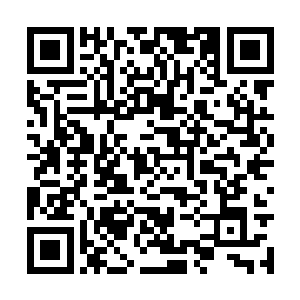 曾经充当贾克爽打手的那些保卫科特勤也全部待岗二维码生成