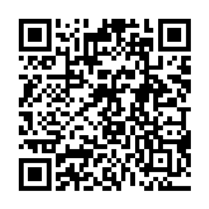 曾经在一场比赛中有着连续超过10次被打脸的经历二维码生成
