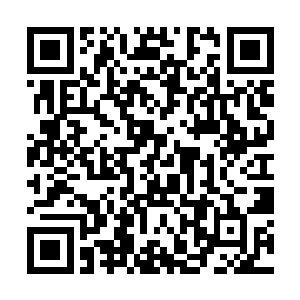 曾经有一支进士带领的队伍只是不小心被皇都军包围二维码生成