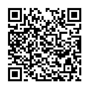 最主要的还是自己根本耗不起那几十年的生命值呀二维码生成