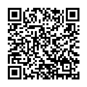 最佳科教片的导演所展现的才艺竟然是现场科普……二维码生成