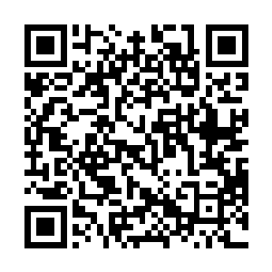 最关键的是他比起洪大力的狗腿子来说还是有些主见的二维码生成