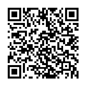 最初的话大概是控制一些自然生物或者植物为你作战二维码生成