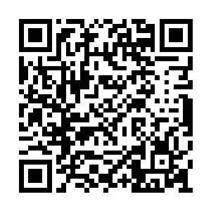 最可贵的是其内的灵气并没有随着熬制就流逝了二维码生成