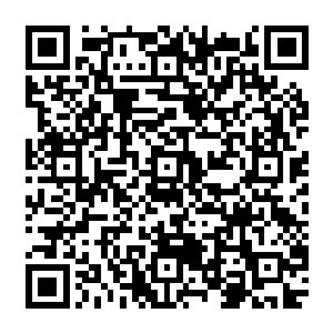 最后一些妖兽联合起来请动了当时昆仑山妖修中实力最强悍的一只有金翅大鹏血统的金雕二维码生成