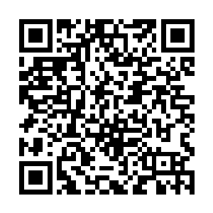 最后又以极快的速度重新缩进了那虎魄刀的刀身之中二维码生成