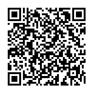 最后只得无奈的祭出了本来打算留在后面比斗才会用的一件威能巨大秘宝二维码生成