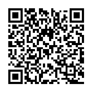 最后将小天星选中的东西全都放在了专柜小姐那里二维码生成