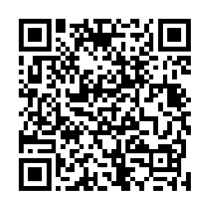 最后被一个二楼贵宾区的神秘人以一千二百万水晶币拍下二维码生成