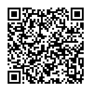 最后见影子的情况稳定下来之后龙傲天又将目光放到了其他的人身上二维码生成