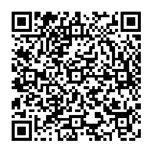 最后随着塞尔内斯战区的防线崩溃而辗转战斗在威夷次大陆卡雷山脉以北区域的时候二维码生成