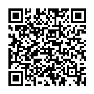 最后龙傲天将目光放到了另外三个顶级神高手身上二维码生成