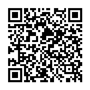 最后龙傲天见到小金喝下了蜂蜜之后再一次将目光放到了场中二维码生成